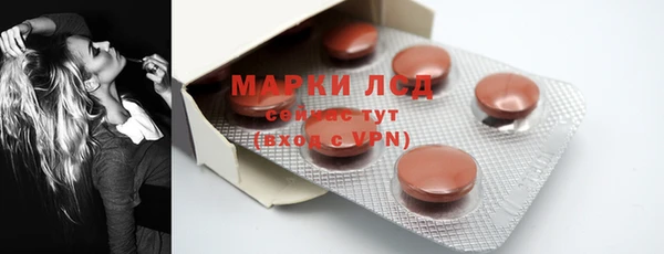 прущие грибы Зеленокумск
