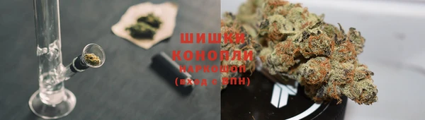 PSILOCYBIN Арсеньев