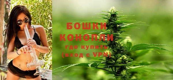 PSILOCYBIN Арсеньев