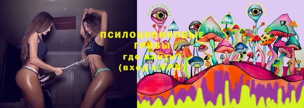 PSILOCYBIN Арсеньев